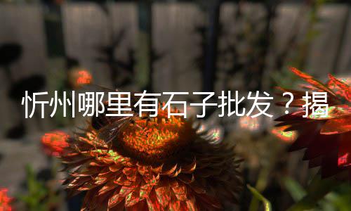黄沙市场黄鳝价格多少、黄沙市场批发野生河鱼、广州黄沙市场美食街地址、如意坊黄沙市场地址