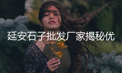 上海采购石子项目、上海黄沙石子市场在哪里、上海最大的石子过驳码头、老上海顺昌路石子路