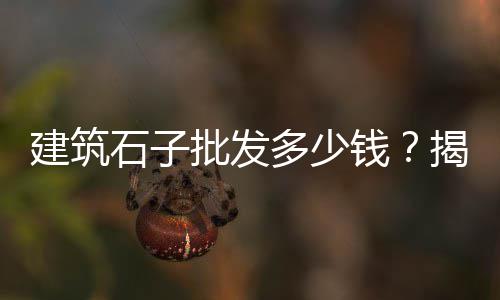 上海的黄沙检测中心、上海哪有黄沙采购、上海金桥黄沙水泥、上海基建黄沙订购