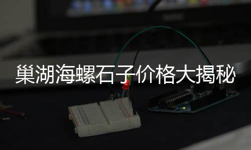 太原周边石子价格走势、河南新乡石子价格、鲅鱼圈石子价格、东莞工程石子价格