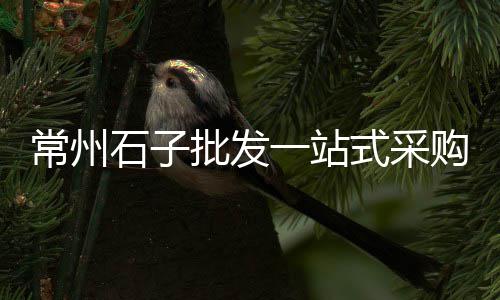 邢台隆尧县批发石子、昆明小石子厂家批发电话、达州河沙石子批发电话、建德黄沙石子批发电话