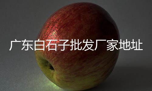 杭州建筑青石子价格行情、登封石子价格表、云南进口石子仓价格、新疆石子行情价格走势