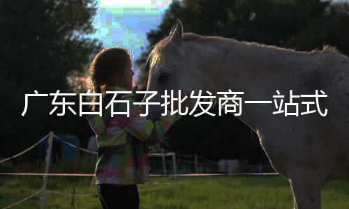 黄沙市场档口招人信息、广州黄沙市场搬迁、黄沙市场地址、新黄沙市场搬迁