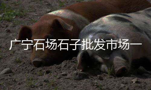 白沙石子批发市场在哪、陆丰南塘石子批发市场、韶关石子批发市场在哪儿、花卉市场有卖白石子的嘛