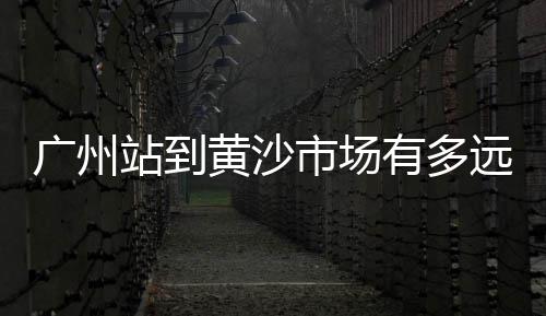 亳州市黄沙水泥批发零售、零售的黄沙多少钱一吨、深圳黄沙零售多少钱一盒、黄埔黄沙零售多少钱一盒