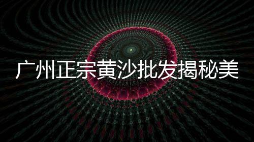 广州旧黄沙市场最新规划、广州黄沙市场袋子、黄沙市场的视频、黄沙市场天然地理