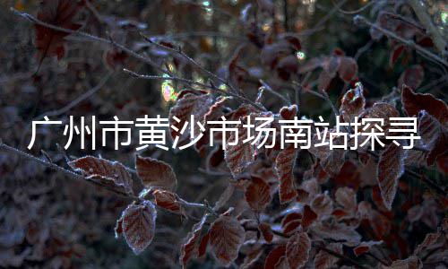 湖北水泥黄沙建材批发、黄沙市场批发花甲在哪里、黄沙批发市场玩具批发价格、黄沙海鲜批发市场攻略