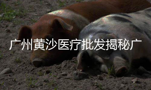 绍兴水泥毯定制价格、商品水泥价格、2018水泥价格、水泥钻价格