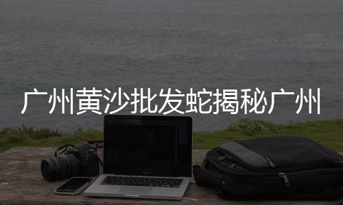 花园铺面石子批发多少钱、郴州建材石子批发市场、泰安白石子批发市场、长治彩石子批发市场
