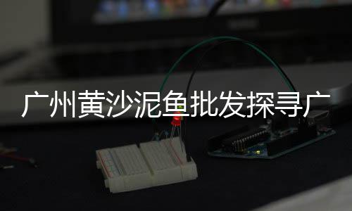 黄沙古渡摆渡车价格、兰州黄沙价格、孝感黄沙价格、消防黄沙价格