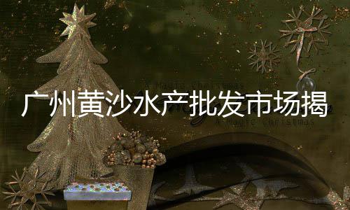 永川石子厂批发电话地址、崇川区透水石子批发、聊城沙石子批发、石场大石子批发