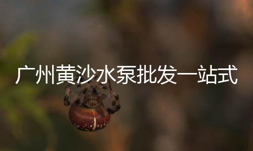 上海黄沙砖头、上海普通水泥黄沙价格、上海找个搬水泥黄沙工人、上海闵行哪里有 黄沙