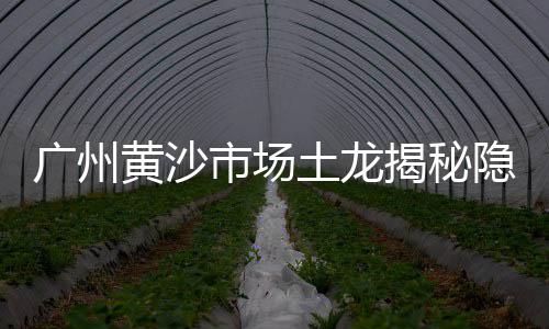 上海市黄沙农家乐价格、上海奉贤黄沙水泥平台电话、上海石子黄沙哪家比较好、上海黄沙水泥直供公司地址
