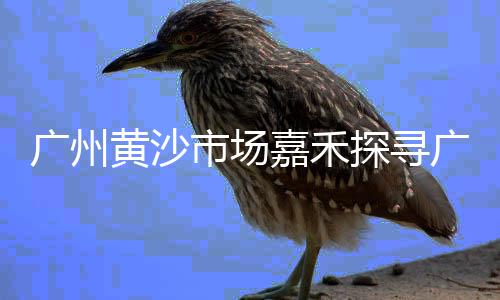 水泥多孔砖批发商家直销、甘肃水泥井盖批发商电话、贵州高强自流平水泥批发、岳阳黄沙水泥批发配送站