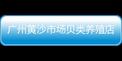 上海批发白石子、彩石子批发、批发石子石灰、石子天津批发