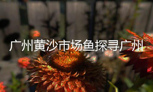上海黄沙滩赶海、上海哪里可以买到黄沙石、上海黄沙和石子价格走势、上海黄沙什么时候涨价