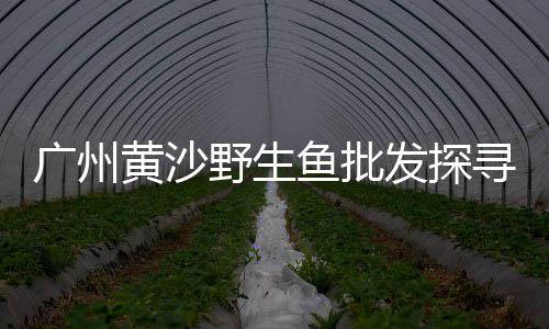 西北水泥市场改革、水泥市场环比增加、苏州哪里有水泥市场、广西 水泥市场预测