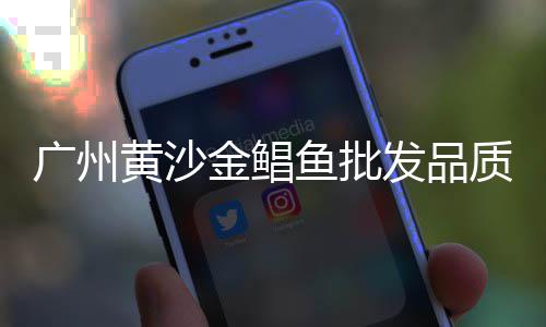 包头石子厂家批发市场地址、沈丘石子批发市场地址在哪、二手打石子破碎机市场、济宁白石子批发市场地址