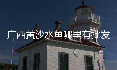 卫国道石子批发、青岛石子批发厂家、山西黑色石子批发、宁远黑石子批发