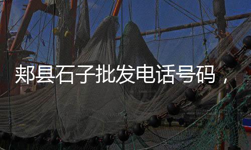 上海出售水泥黄沙价格、上海码头黄沙生意、上海金山黄沙水泥、上海小黄沙订购