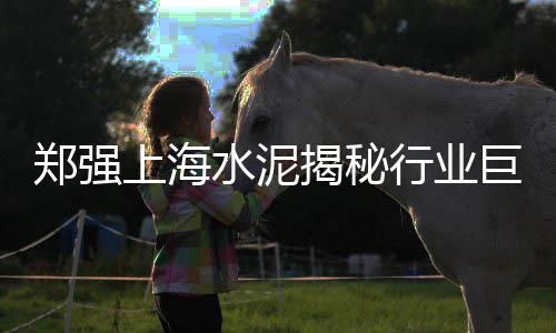 水泥市场分析预测方法、杨家坪 水泥 批发市场、水泥袋装市场开发方案、滁州建材市场卖水泥