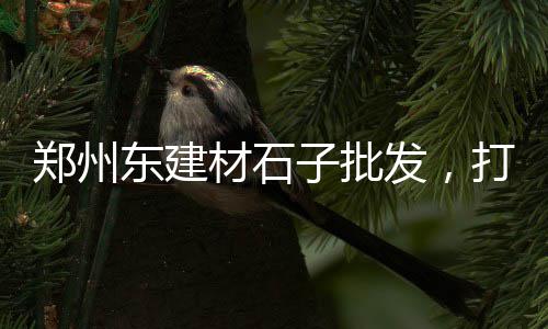洛阳石子零售店地址查询、批发零售黄沙石子水泥多少钱、零售石子多少钱一吨啊、鹿邑县石子百货零售店