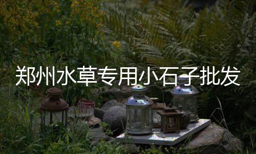 安庆零售水泥价格表最新、汕尾水泥发泡板零售、扬州哪有零售砂子水泥、鞍山零售水泥价格多少