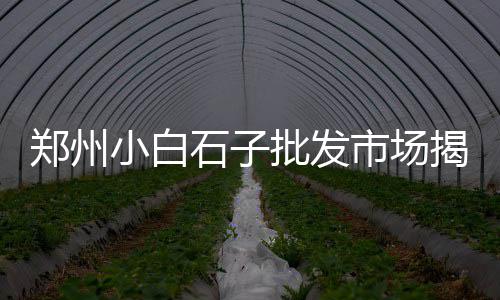 荆门水泥预制板零售、水泥批发零售二维码、浙江水泥制管机零售厂家、金牛区水泥零售店地址