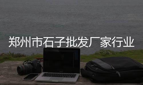 上海长宁区石子厂、上海漆面石子坑修复师傅、上海二手石子机械市场、上海宝山石子厂家直销