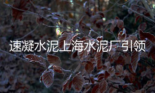黄沙丁鱼批发、本地黄沙批发配送、黄沙水泥砂石批发厂家、六步黄沙蚬批发