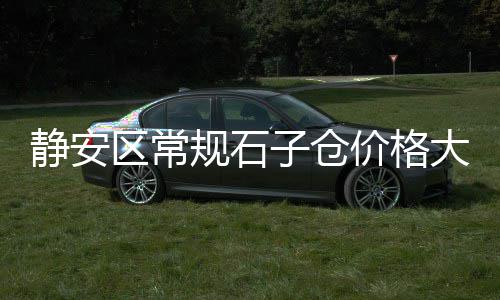 上海嘉定批发沙子石子、石子饼整箱批发三斤、乳山市石子厂家批发、宁城县石子厂家批发