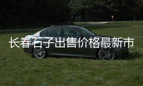 洛阳的石子价格、桐乡附近石子价格、大冶尖峰石子价格、泉州石子的价格