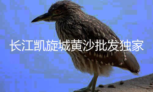 上海石子饼生产设备、上海火山岩石子多吗、上海石子路营地在哪儿、上海港口石子价格查询表