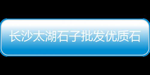 广州黄沙市场金钱鱼批发、黄沙市场蛏子价格行情查询、黄沙市场河鱼批发在哪里、广州黄沙市场有大海鱼卖
