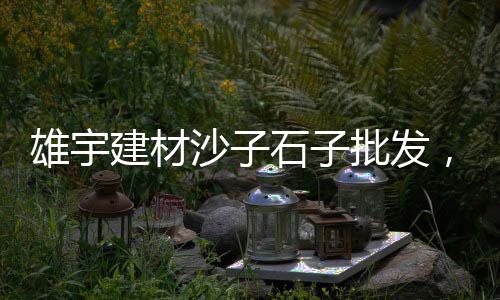 上海长兴岛水泥黄沙厂地址、上海到黄沙岛坐什么车、上海装修黄沙单价多少钱、黄沙加工哪家好吃上海
