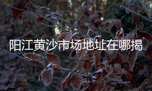 大连木纹水泥砖批发厂家、德兴水泥批发、包装水泥批发、咸阳水泥批发