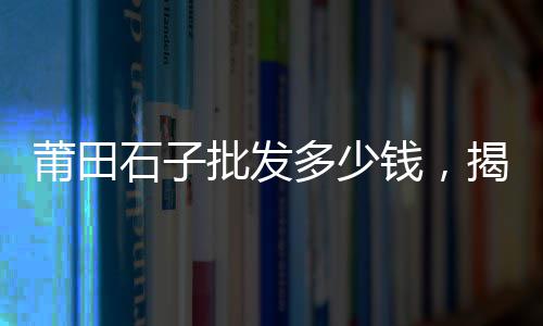上海新场附近再生石子厂、上海宝山做再生石子场地、白石子哪里有卖上海、上海正规石子仓进货价