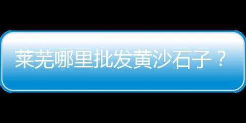 海鲜市场的水泥是什么、水泥市场如何管理销售、大连旧水泥护栏市场、广东水泥市场2023年