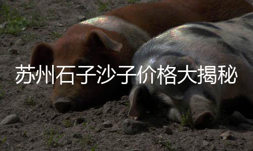 西安市场秦岭水泥、水泥应用市场分布、水泥 购买 市场 福州、425水泥市场售价