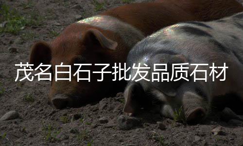上海大量收石子、上海石子加工企业排名榜、上海卖石子饼的地方在哪、上海路面石子扫地机