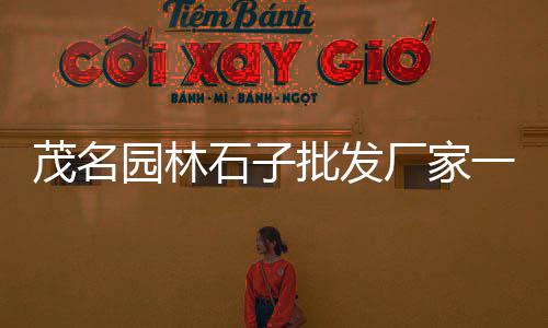 苏州黄砂石子批发市场、南京附近石子批发市场地址、潍坊袋装石子批发市场地址、班庄石材石子批发市场在哪