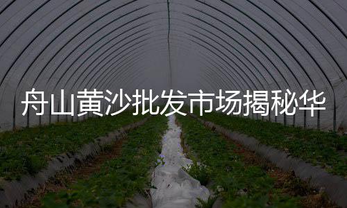 石子的市场价多少、北辰周边石子市场、日本的石子市场、温州高标石子市场