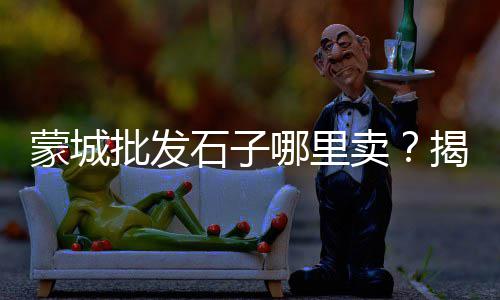 上海金山再生石子厂、上海回收白石子的地方在哪、上海回笼石子厂家电话地址、上海箱式石子破碎机厂家