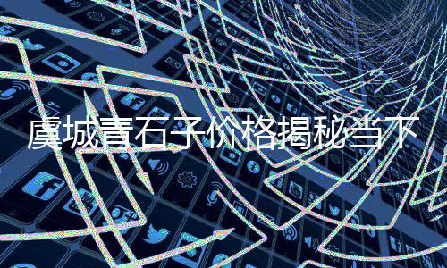 黄沙市场买鹅肝多少钱一斤、黄沙市场收鱼吗现在多少钱、黄沙市场海鲜多少钱一斤、黄沙市场卖生蚝的店在哪里