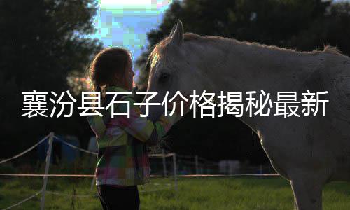 黄沙港鳗鱼干批发市场、广州黄沙血蛤批发市场、芜湖水泥黄沙批发零售、四川黄沙石料袋装批发