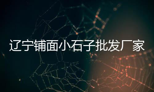 柯桥石子零售配送电话、石子料批发零售、柳州批发零售石子、水冶石子零售