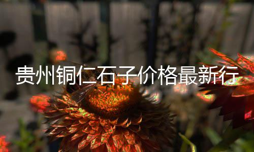 娄底水泥河沙零售、密云水泥零售、自贡零售水泥、贡觉水泥零售
