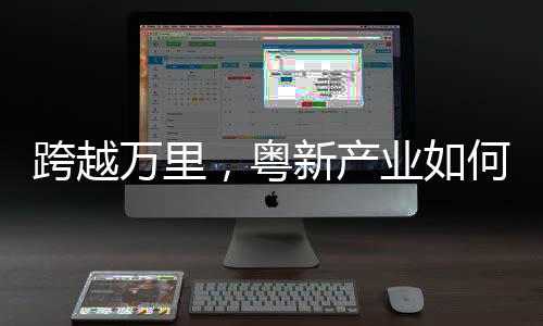 滕州黄皮石子批发市场、广安市石子批发厂家、玉林石场高钙石子批发、保山外墙喷石子批发基地