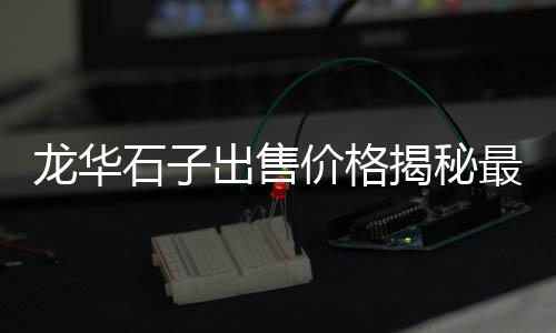 石子和砂子的价格差多少、碎石子价格报价、鱼缸彩色石子的价格、混石子倒运价格