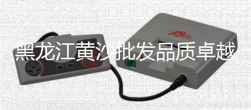 中东国家水泥市场、水泥行业市场调研报告、马家岩建材市场 水泥、海螺水泥海外市场扩展